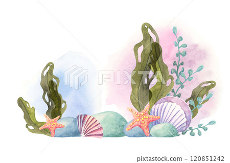 Green seaweed, colorful shells, and coral branches depicted in watercolor. This clipart is perfect for creating marine-themed wrapping paper, textile patterns, digital products, and classroom decor 120851242