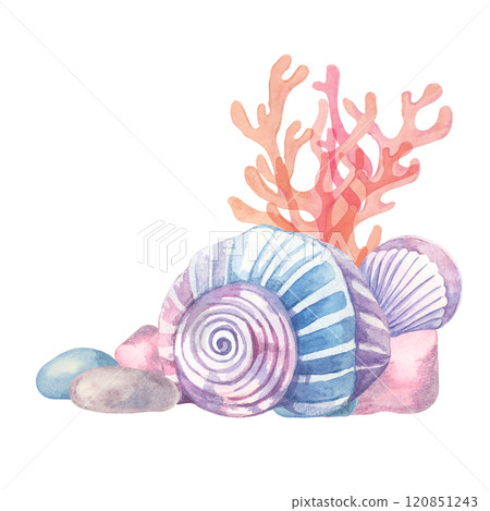 A vibrant seashell arrangement with pink coral, blue rocks, and spiral shells illustrated in watercolor. This clipart is ideal for wedding stationery, greeting cards, or nautical gift packaging 120851243