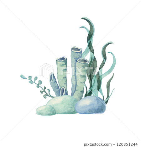 A cluster of green seaweed and rocks painted in watercolor. Undersea life clipart ideal for DIY crafts, underwater-themed branding, packaging design, and aquatic wall art for bathrooms or offices A cluster of green seaweed and rocks painted in watercolor. Undersea life clipart ideal for DIY crafts, underwater-themed branding, packaging design, and aquatic wall art for bathrooms or offices 120851244