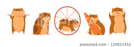 Cute Hamster Character with Pretty Snout Vector Set Cute Hamster Character with Pretty Snout Vector Set 120851432
