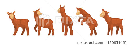 Little Brown Lamb Animal with Hoof Vector Set 120851461
