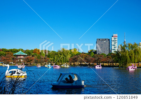上野不忍池、弁天堂、東京晴空塔的休閒船 120851849