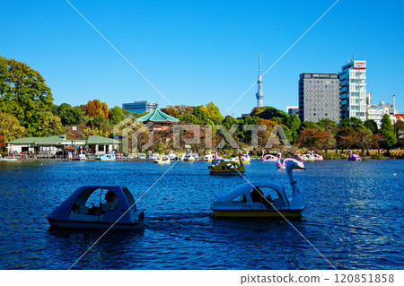 上野不忍池、弁天堂、東京晴空塔的休閒船 120851858