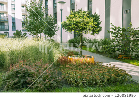 Urban garden apartment buildings. Herbs, flowers, and fruit plants grow on raised beds made of weathering steel. Nice green forest landscape in the city in Krakow, Poland. Urban garden apartment buildings. Herbs, flowers, and fruit plants grow on raised beds made of weathering steel. Nice green forest landscape in the city in Krakow, Poland. 120851980
