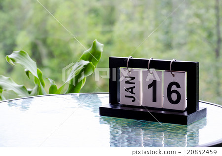 16 January calendar table with blurred nature background. With customizable space for text or ideas 120852459
