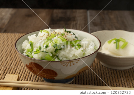 Rice with vegetables and lightly pickled turnip 120852723