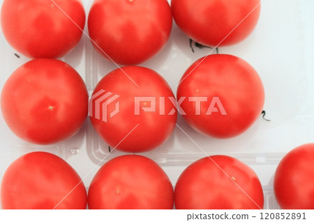 Red tomatoes: fresh and delicious tomatoes 120852891