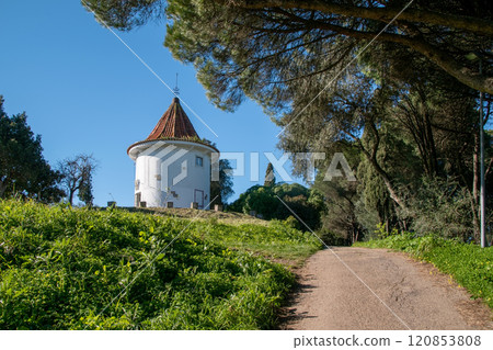 Facade of a white historical building in the garden, vintage rustic background, Lisbon, Portugal 120853808