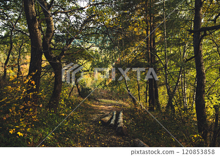 Beautiful autumn landscape 120853858
