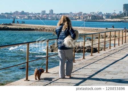 woman walking her tiny dogs by the seaside, scenic ocean view 120853896