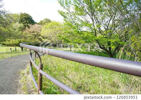 充滿自然氣息的公園裡的柵欄 充滿自然氣息的公園裡的柵欄 120853951