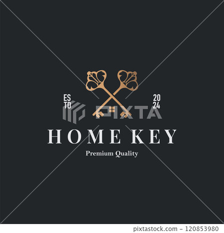 Home security design simple key logo old vintage minimalist template illustration 120853980