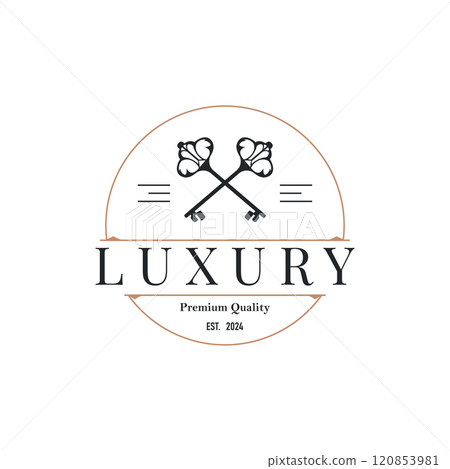 Home security design simple key logo old vintage minimalist template illustration 120853981