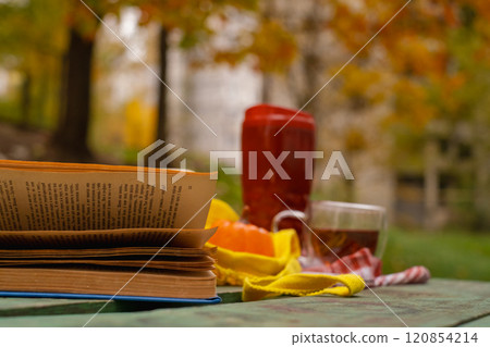 cozy autumn setting with a cup of hot tea, a pumpkin and a knitted blanket, conveying the atmosphere of autumn. cozy autumn setting with a cup of hot tea, a pumpkin and a knitted blanket, conveying the atmosphere of autumn. 120854214