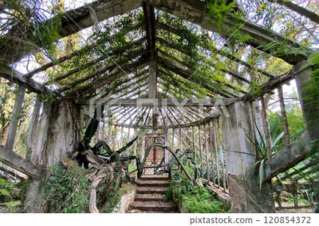 Park with green tropical bushes and trees, Lisbon, Portugal Park with green tropical bushes and trees, Lisbon, Portugal 120854372