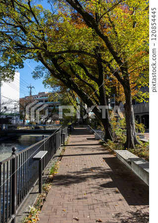 群馬縣前橋市廣瀨川綠地散步道 群馬縣前橋市廣瀨川綠地散步道 120854445