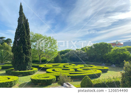 Cypress and topiary bushes in green park on a sunny day, Lisbon garden Cypress and topiary bushes in green park on a sunny day, Lisbon garden 120854490