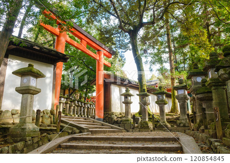 奈良縣奈良市春日大社境內參道 120854845