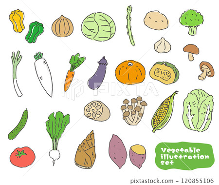 Illustration set of vegetables 120855106