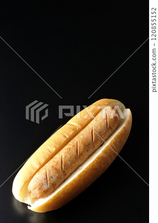 Hot dog photographed against a black background 120855152