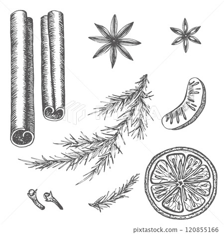Set with ingredients for mulled wine hand drawn llustration in graphic. Isolated cinnamon, anis, orange and spruce branch used on recipes, dishes and New Year's textiles on cup of grog or mulled wine Set with ingredients for mulled wine hand drawn llustration in graphic. Isolated cinnamon, anis, orange and spruce branch used on recipes, dishes and New Year's textiles on cup of grog or mulled wine 120855166