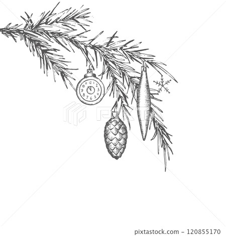 Spruce branch with glass Christmas tree decorations. Graphics illustration. Composition can use in postcard, on wrapping paper, New Year's textiles and stickers. Also for christmas decoration. Vector Spruce branch with glass Christmas tree decorations. Graphics illustration. Composition can use in postcard, on wrapping paper, New Year's textiles and stickers. Also for christmas decoration. Vector 120855170