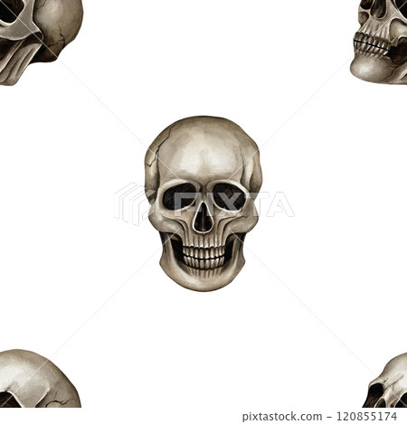 Simple seamless pattern with isolated skulls watercolor illustration on white background Hand drawn pattern for Halloween or Gothic style which using on textile and wrapping paper, for website design 120855174