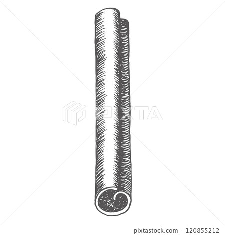 Cinnamon isolated image. Graphics illustration. Use on wrapping paper, New Year's textiles, stickers, cookbook and recepies, also in decoration cafe. It is an ingredient for mulled wine and bakes 120855212