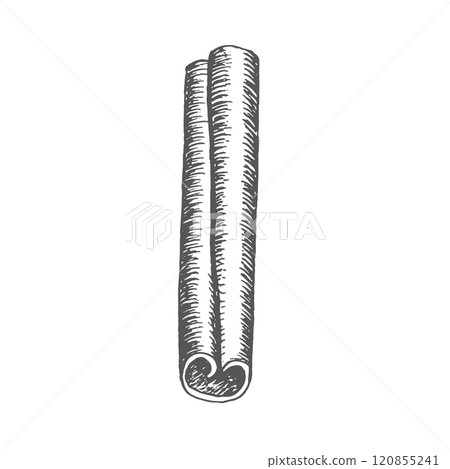 Cinnamon isolated image. Graphics illustration. Use on wrapping paper, New Year's textiles, stickers, cookbook and recepies, also in decoration cafe. It is an ingredient for mulled wine and bakes Cinnamon isolated image. Graphics illustration. Use on wrapping paper, New Year's textiles, stickers, cookbook and recepies, also in decoration cafe. It is an ingredient for mulled wine and bakes 120855241
