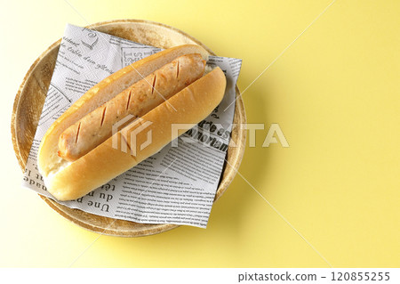 hot dog hot dog 120855255
