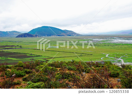 China, Yunnan Province Shangri-La City High-rise Marsh Napa Sea China, Yunnan Province Shangri-La City High-rise Marsh Napa Sea 120855338