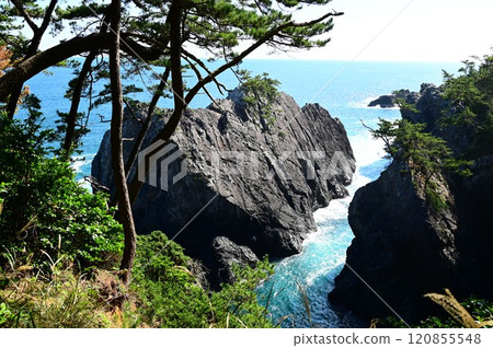 Sanriku Fukko National Park Goishi Coast 120855548