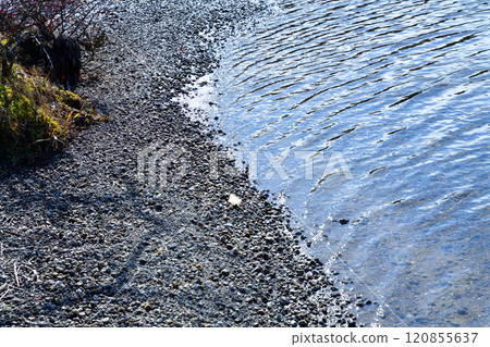 Akagi Konuma Lakeside scenery Akagi Konuma Lakeside scenery 120855637