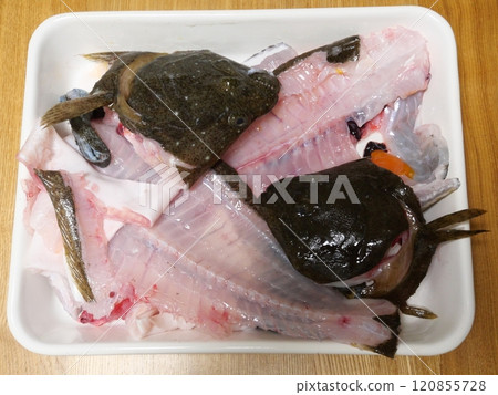 Fish Ara Fish Ara 120855728