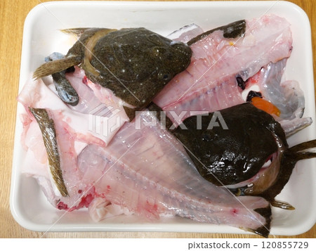 魚Ara 魚Ara 120855729