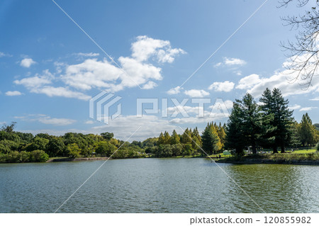 有池塘的公園 120855982