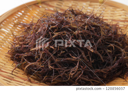 Cloth laver 120856037