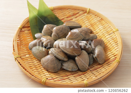 Asari Asari 120856262