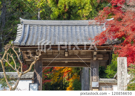 秋天的京都，聖傳寺，秋葉覆蓋的三門 120856650