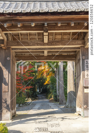 Autumn in Kyoto: Shodenji Temple's gate surrounded by autumn leaves 120856652