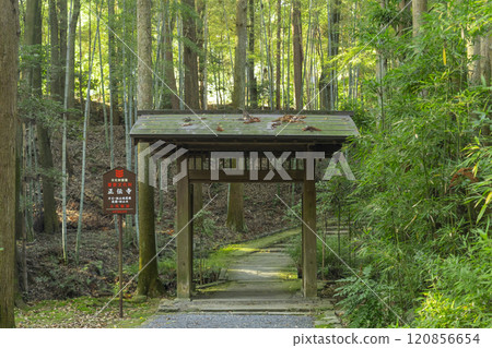 Kyoto: The nature-filled approach to Shodenji Temple Kyoto: The nature-filled approach to Shodenji Temple 120856654