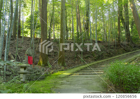 Kyoto: The nature-filled approach to Shodenji Temple 120856656