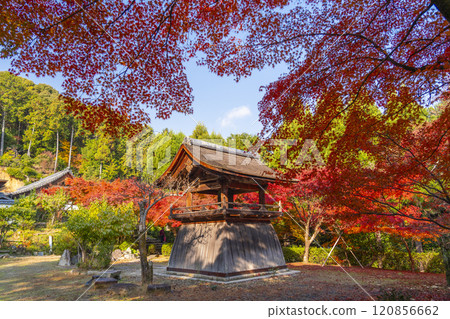 Autumn in Kyoto: Shodenji Temple Bell Tower surrounded by autumn leaves Autumn in Kyoto: Shodenji Temple Bell Tower surrounded by autumn leaves 120856662