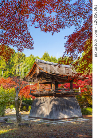 秋天的京都，聖傳寺，秋葉覆蓋的鐘樓 120856663