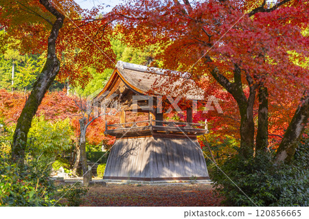 秋天的京都,聖傳寺,秋葉覆蓋的鐘樓 秋天的京都,聖傳寺,秋葉覆蓋的鐘樓 120856665
