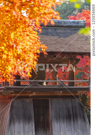 Autumn in Kyoto: Shodenji Temple Bell Tower surrounded by autumn leaves Autumn in Kyoto: Shodenji Temple Bell Tower surrounded by autumn leaves 120856669