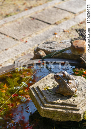 Autumn in Kyoto: Shodenji Temple: Stone water basin and frog ornament Autumn in Kyoto: Shodenji Temple: Stone water basin and frog ornament 120856673
