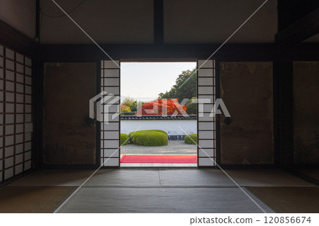 Autumn in Kyoto: Shodenji Temple, "Shishi no Ko Watashi Garden" with Mt. Hiei as a backdrop 120856674