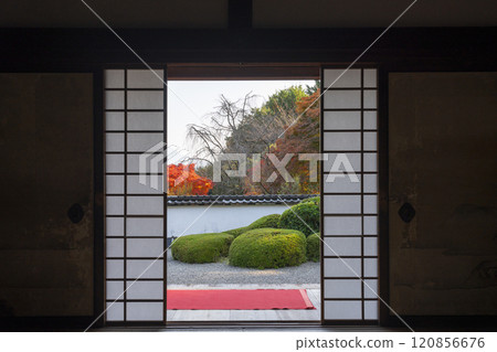 Autumn in Kyoto: Shodenji Temple, "Shishi no Ko Watashi Garden" with Mt. Hiei as a backdrop 120856676