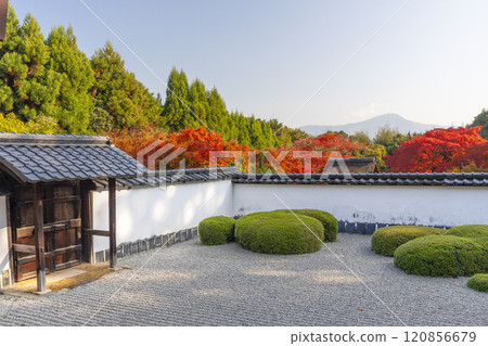 Autumn in Kyoto: Shodenji Temple, "Shishi no Ko Watashi Garden" with Mt. Hiei as a backdrop 120856679